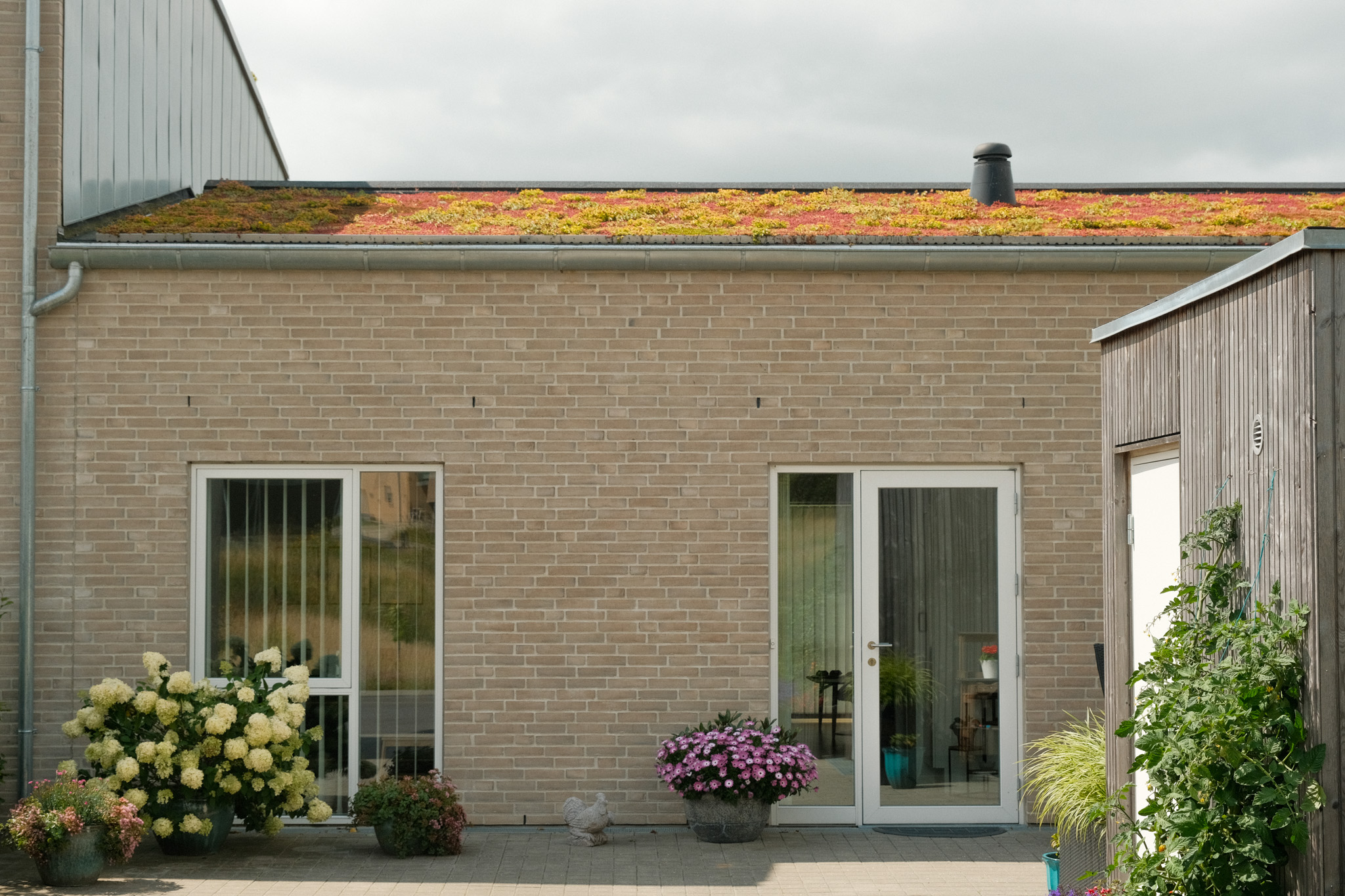 Bjergnæs Enge-07