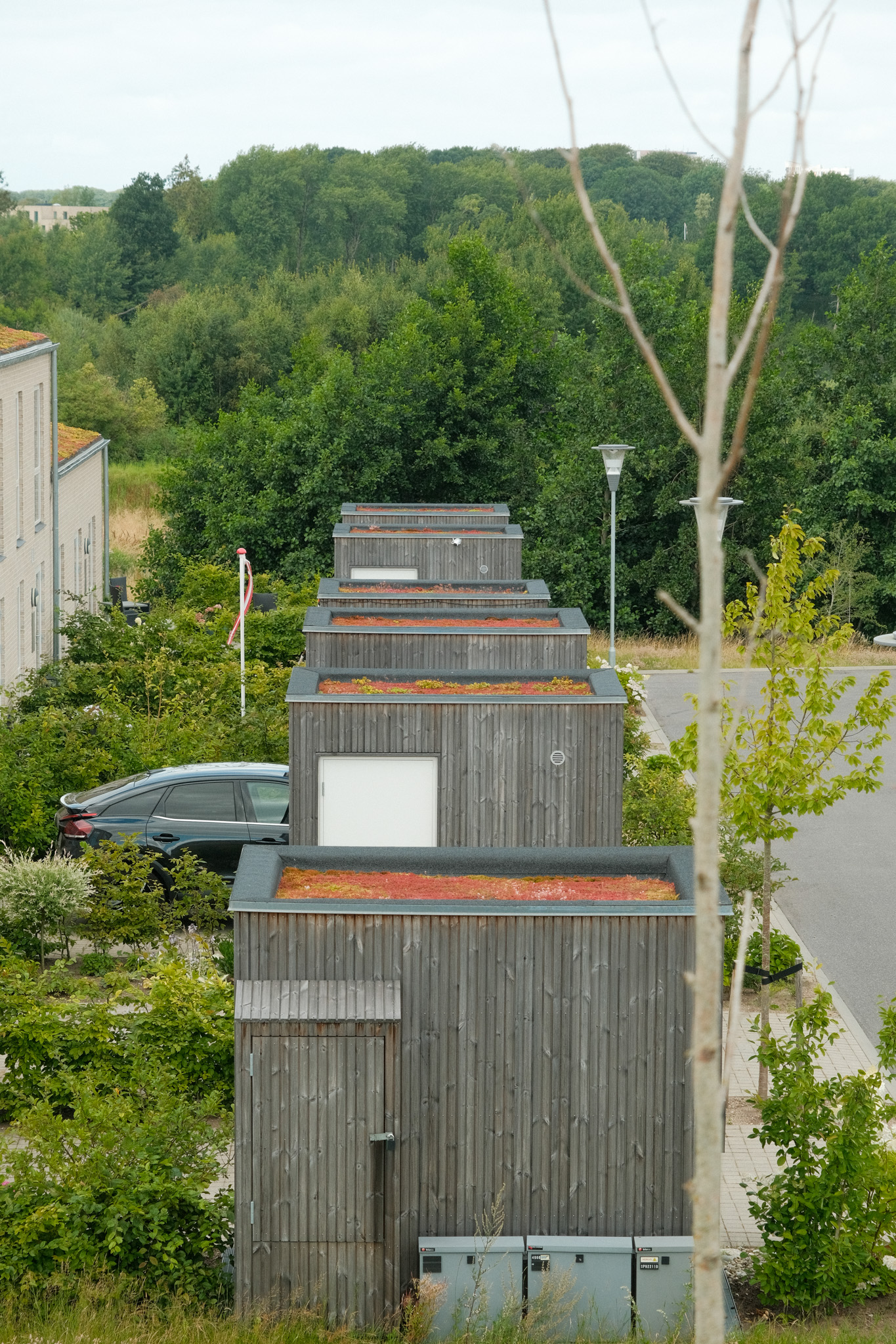 Bjergnæs Enge-08