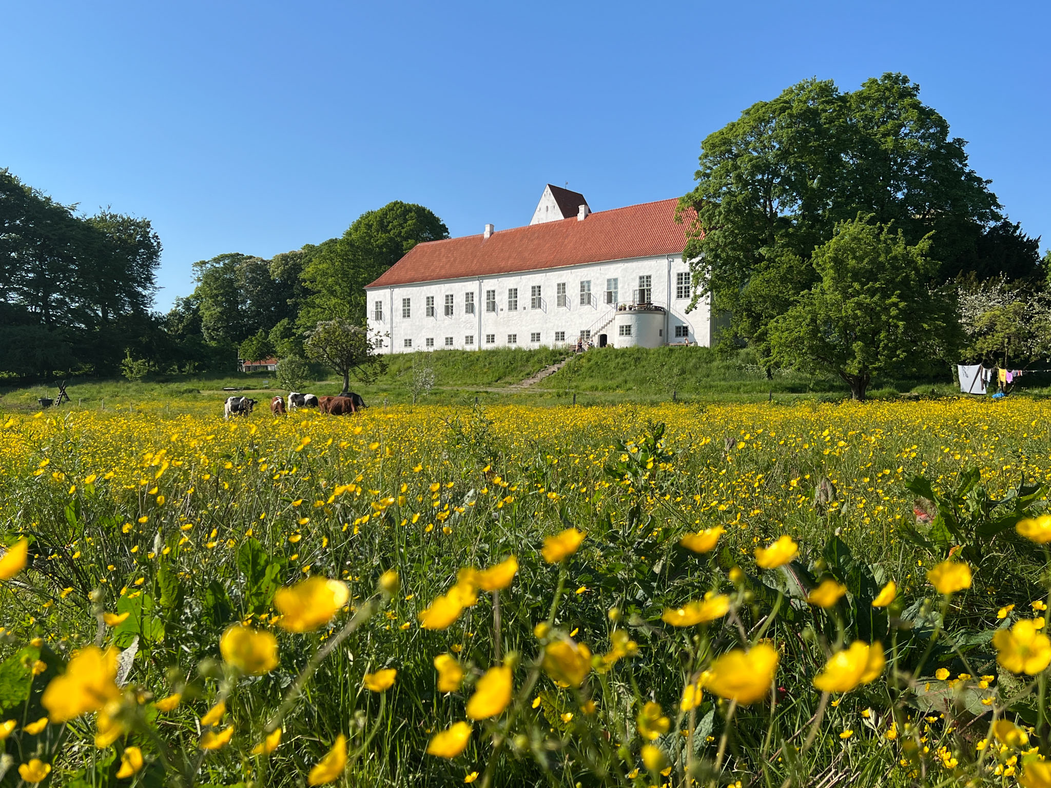 Ørslev Kloster-03