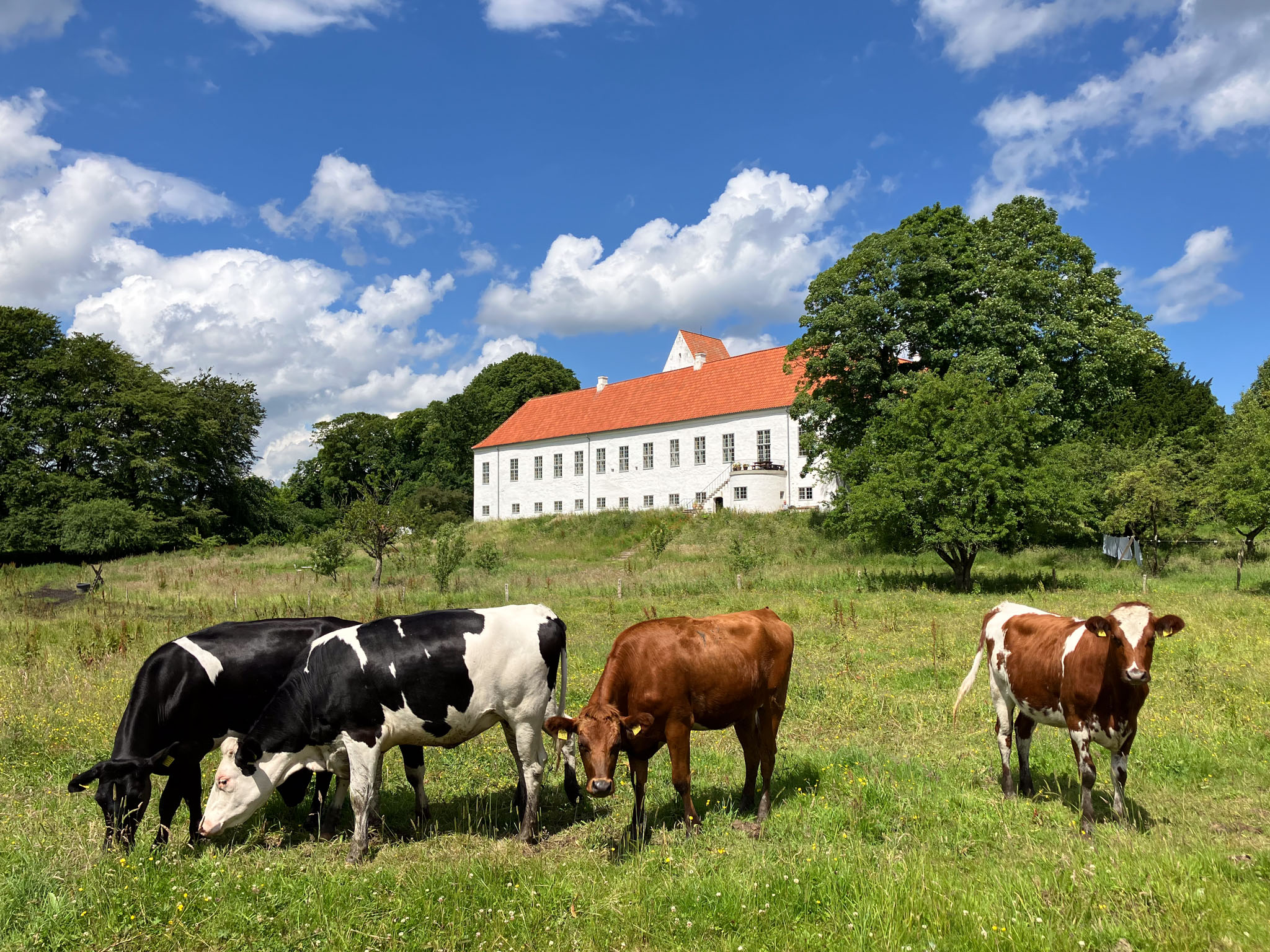 Ørslev Kloster-05