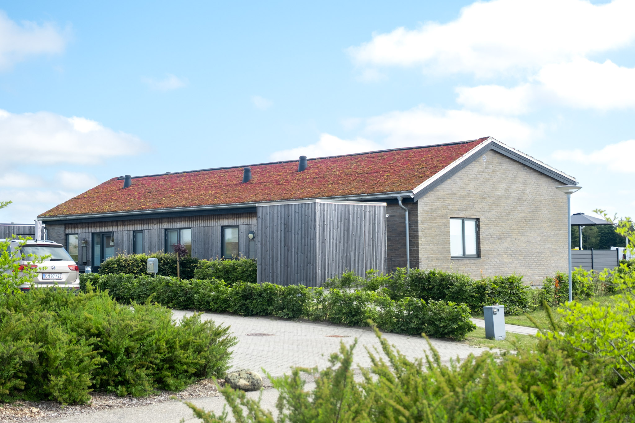 Hindbærkrattet-3