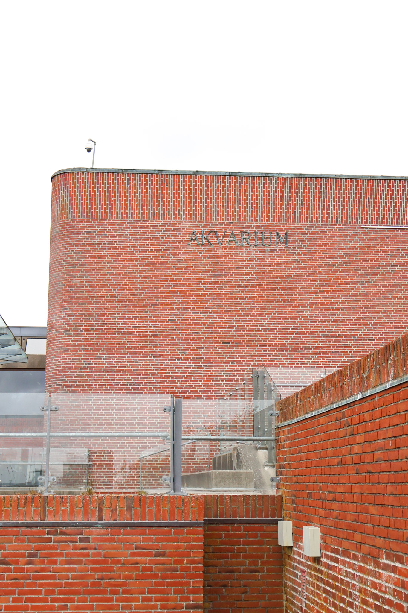 Danmarks museum for havet-15