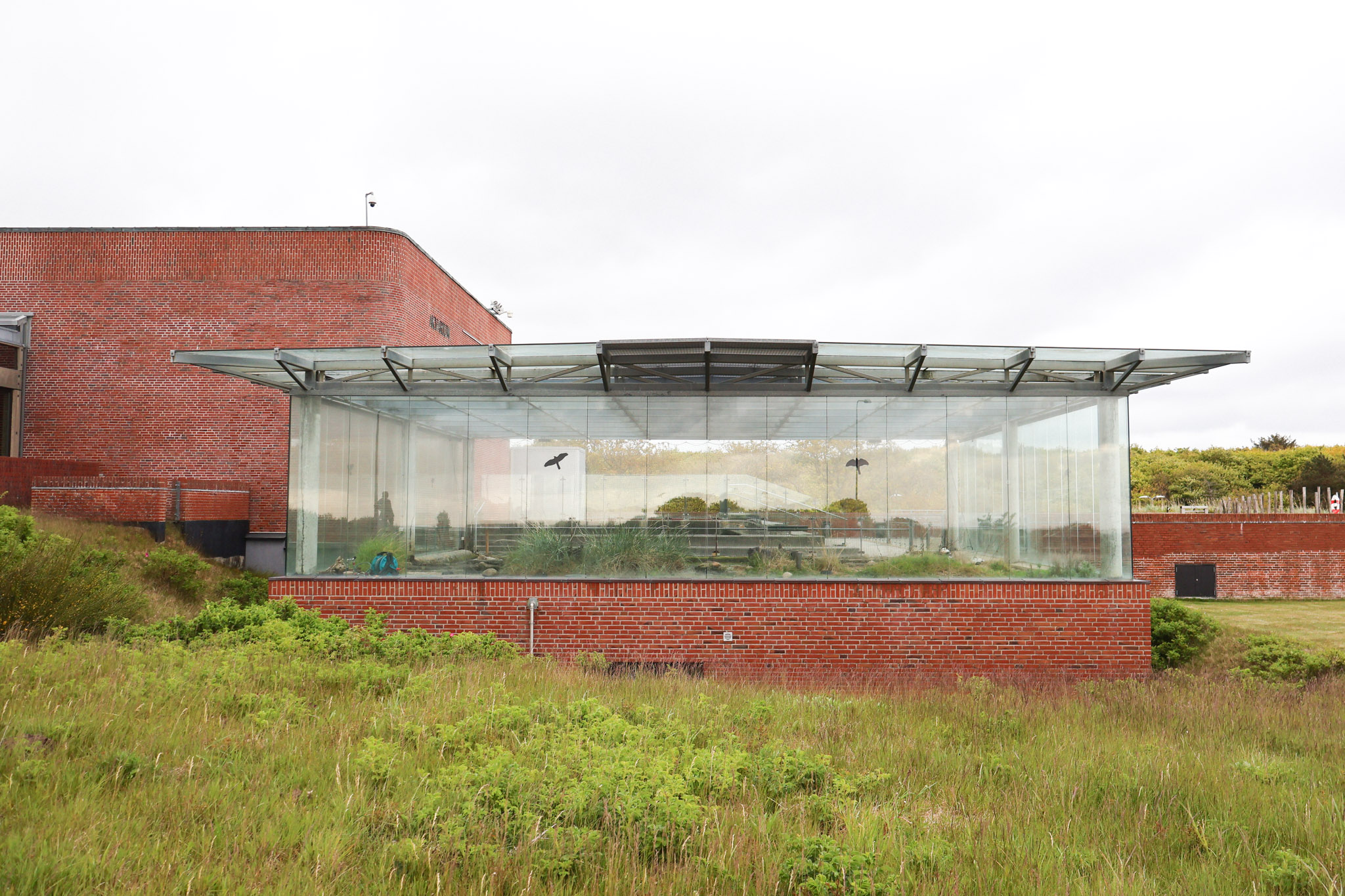 Danmarks museum for havet-26