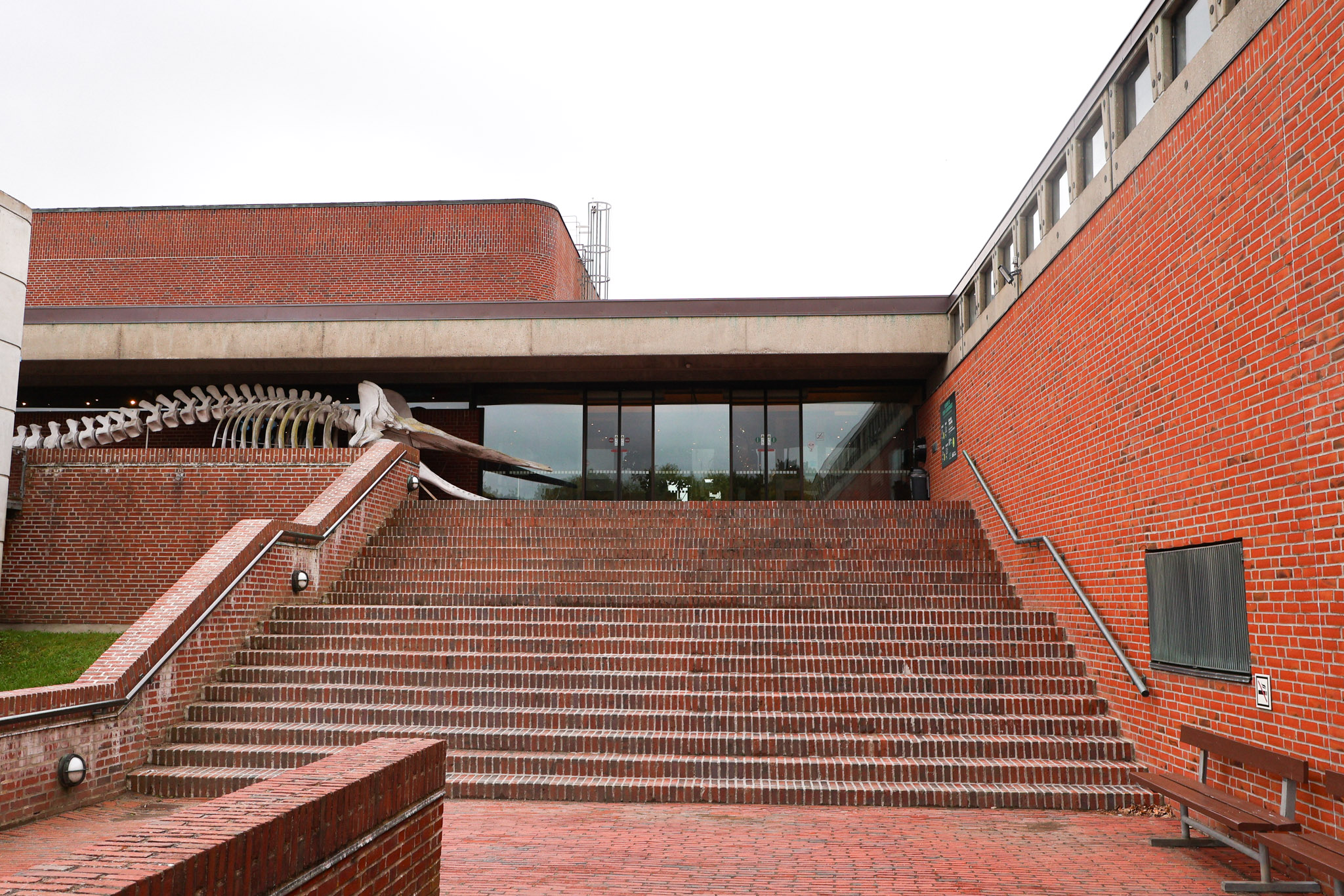 Danmarks museum for havet-4